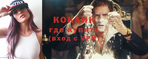 стафф Дмитров