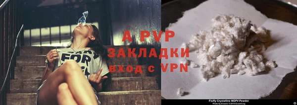 стафф Дмитров