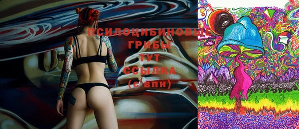 стафф Дмитров