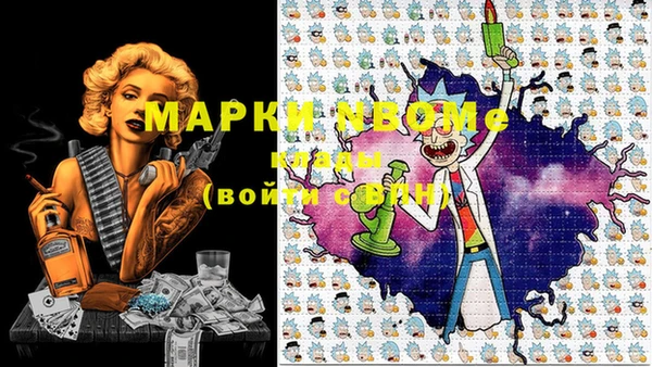 стафф Дмитров