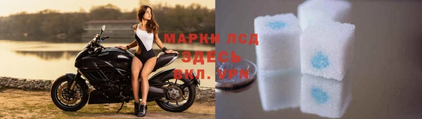гидра Дмитровск