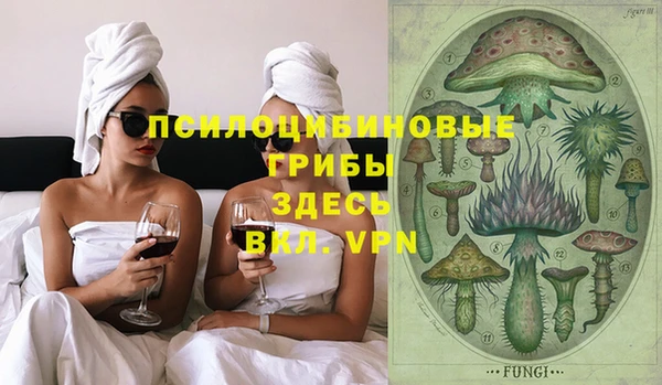 гидра Дмитровск