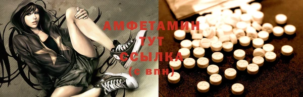 стафф Дмитров