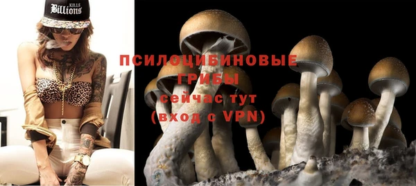 гидра Дмитровск