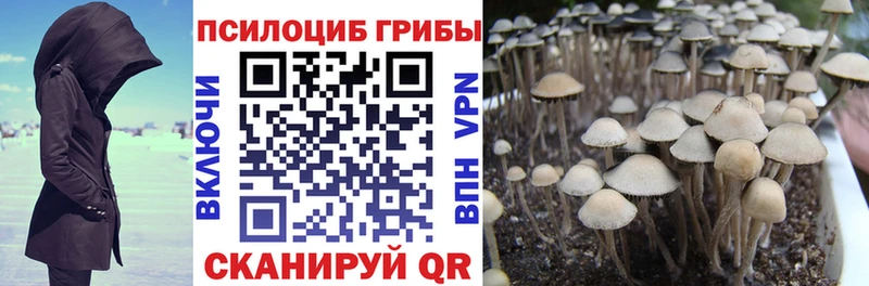 Псилоцибиновые грибы ЛСД  Купить закладки  Тарко-Сале 
